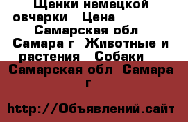 Щенки немецкой овчарки › Цена ­ 18 000 - Самарская обл., Самара г. Животные и растения » Собаки   . Самарская обл.,Самара г.